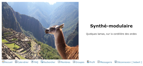 capture d'écran du site de synthe-modulaire.com/